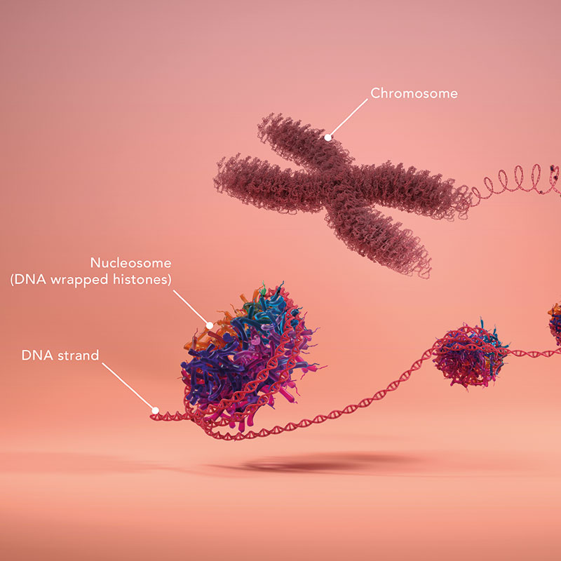 Nu.Q® Vet Cancer Screen and Monitor Test