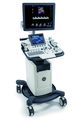 LOGIQ® F8: Ultraschall in der Tiermedizin