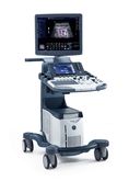 LOGIQ® S8 XDclear: Ultraschall in der Tiermedizin